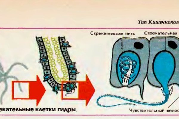 Кракен сайт kr2web in зеркало рабочее