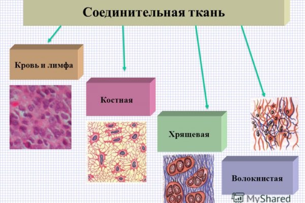 Кракен актуальная ссылка kraken torion net