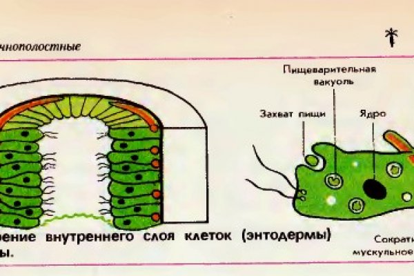 Kraken рынок