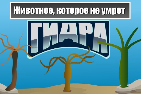 Kraken дарк магазин